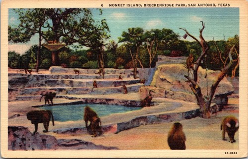 Cartolina lino monkey - cartolina, di