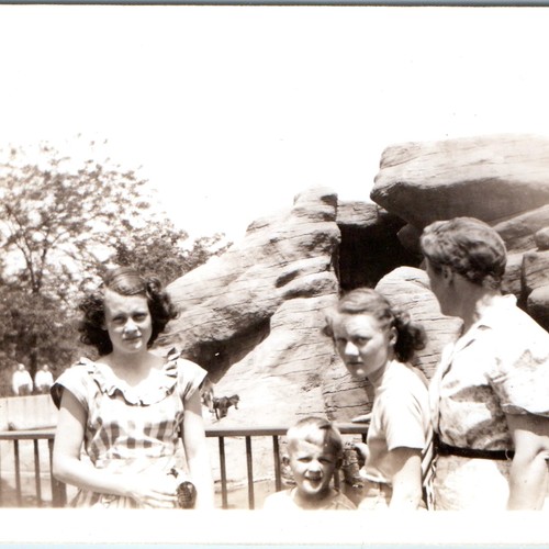 C1940s zoo monkey island foto - c1940s,